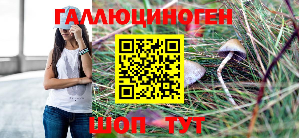 Мелеуз  Псилоцибиновые грибы Cubensis  Вход с VPN 