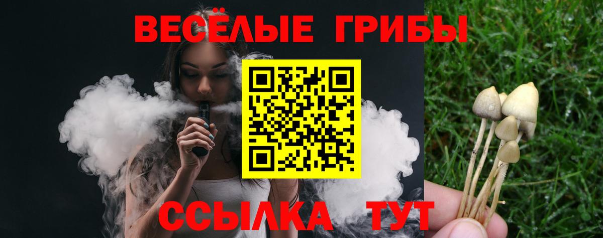 Псилоцибиновые грибы GOLDEN TEACHER Мелеуз